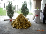 dscn0548