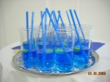 dscn0696